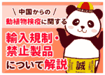 中国輸入の植物・動物検疫を解説！規制・手続き・費用を網羅